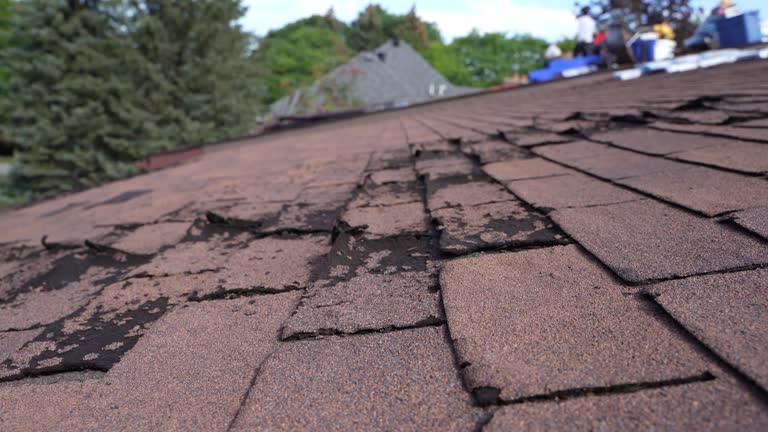 Best Roof Installation  in Grayslake, IL