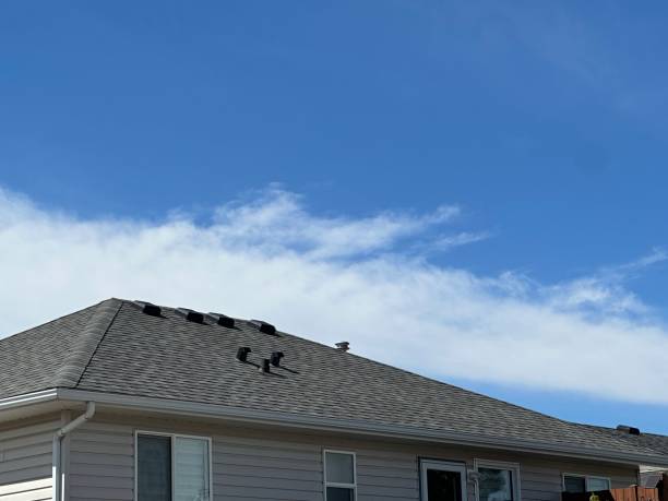 Best Roof Ventilation Installation  in Grayslake, IL